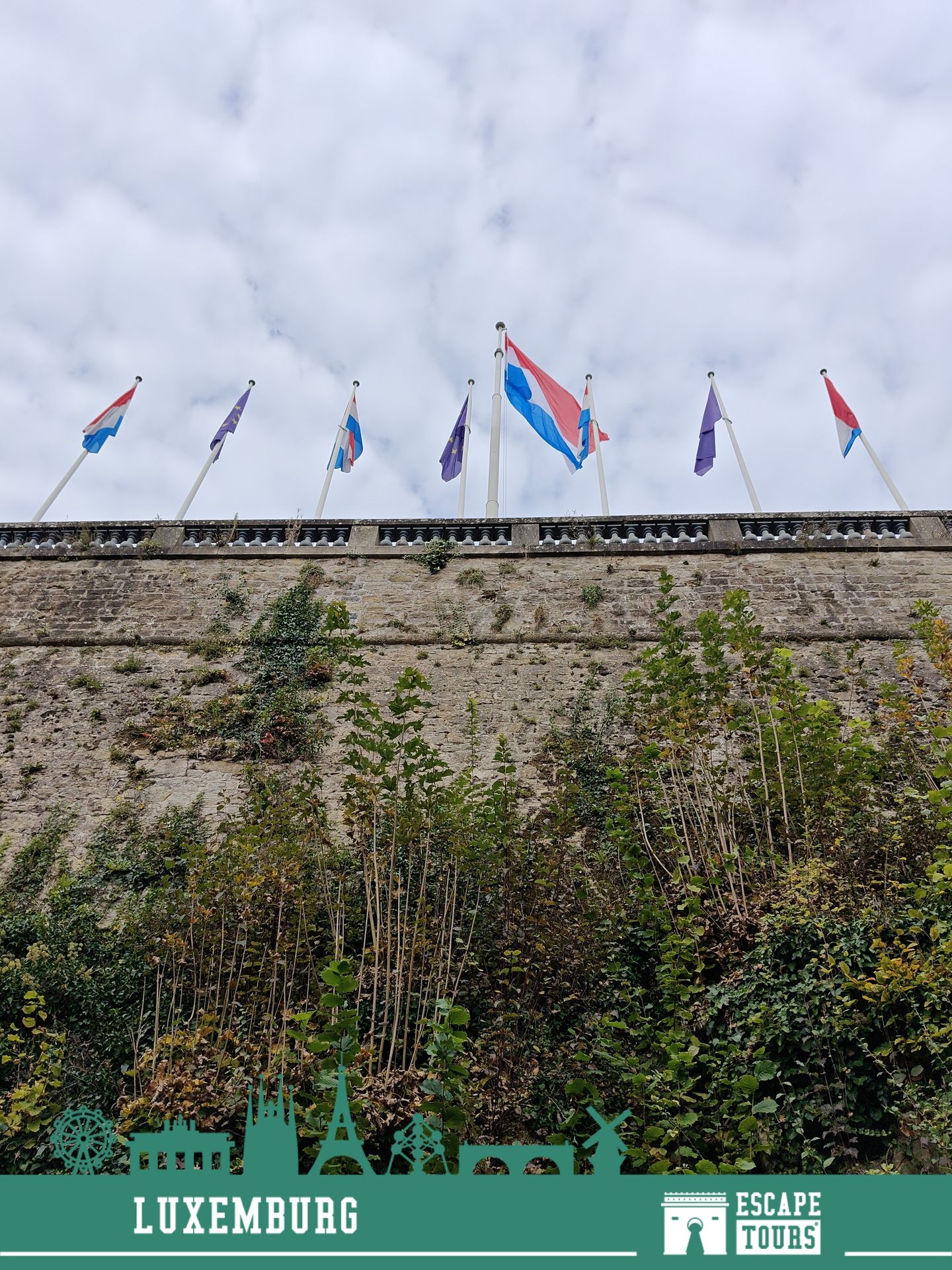 Rekordzeit: Die Taubenzüchter