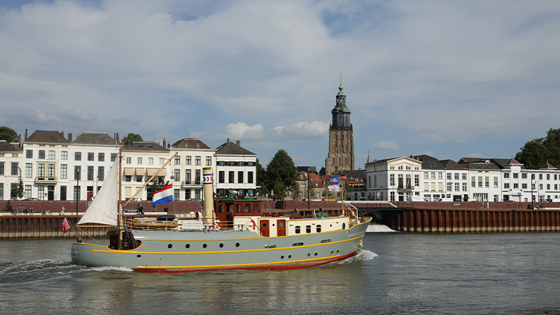 Rekordzeit: Bockkäfer