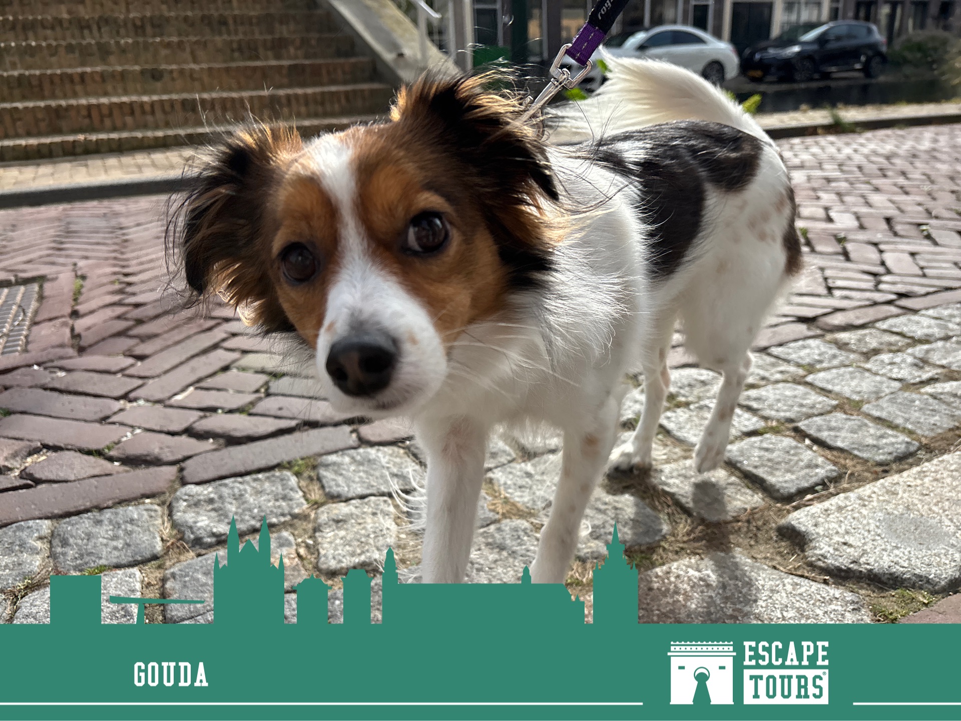 Rekordzeit: Praktisches Durchblättern