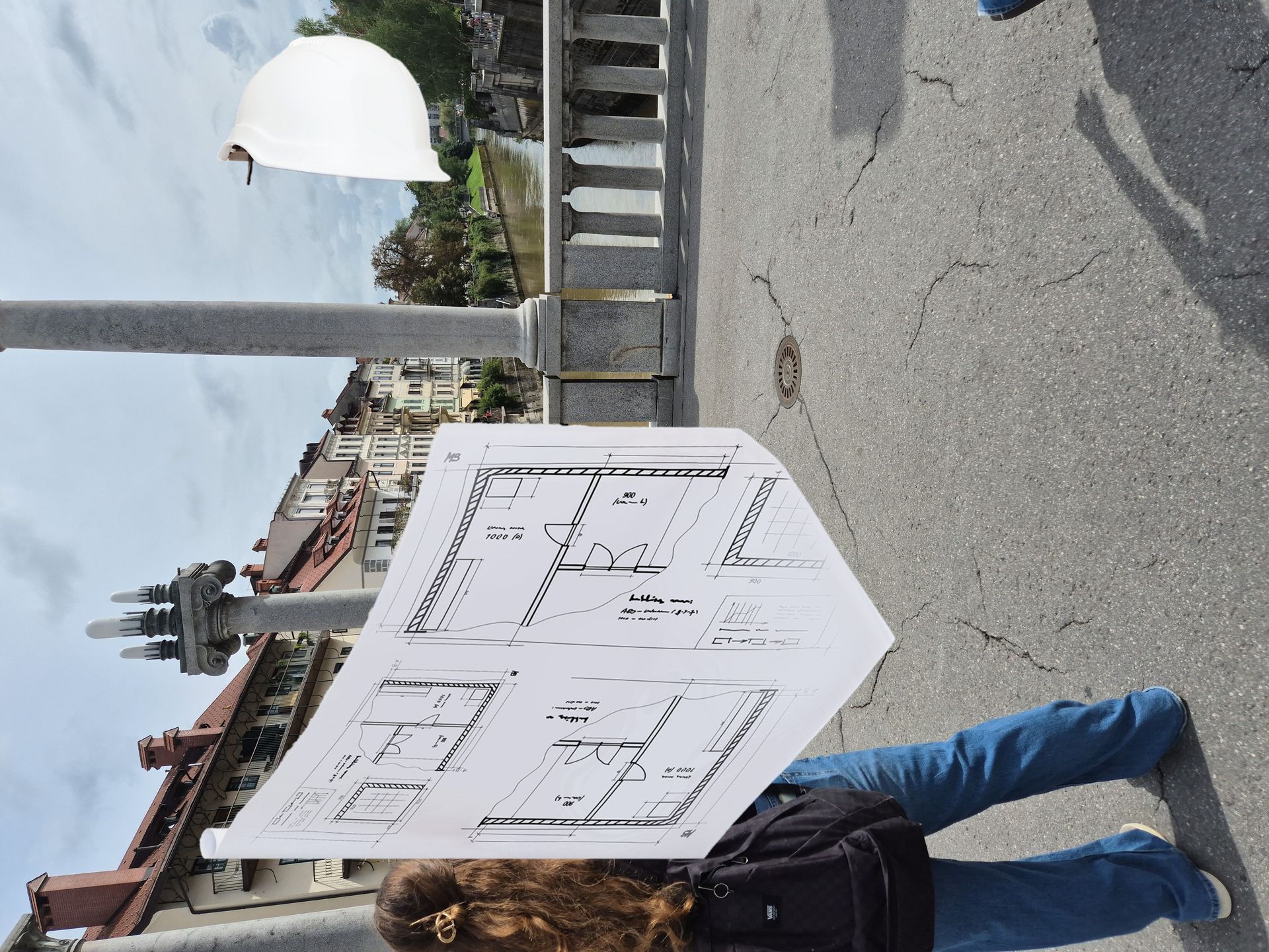 Rekordzeit: Föhrschwalben