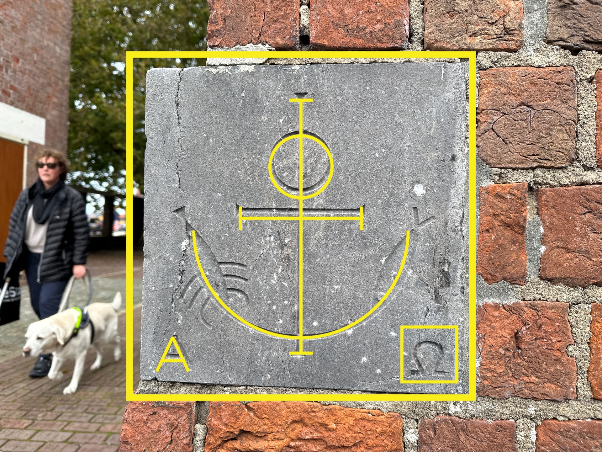 Rekordzeit: Hjortene