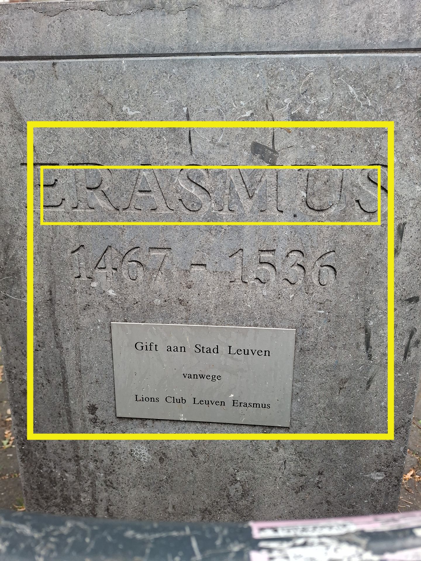 Rekordzeit: Prancing Ponies