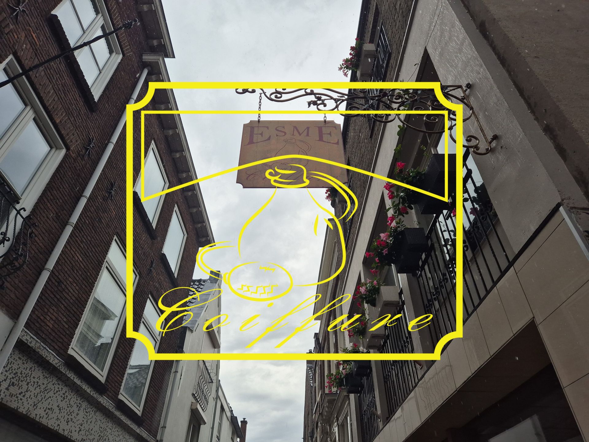 Rekordzeit: Die Flippers