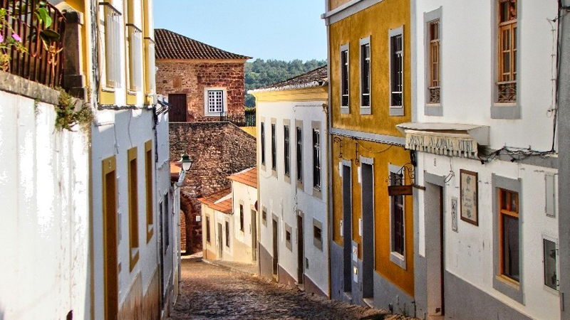 Rekordzeit: Die Orangenstörche