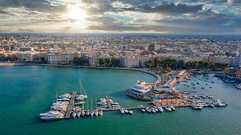 Rekordzeit: Libellen