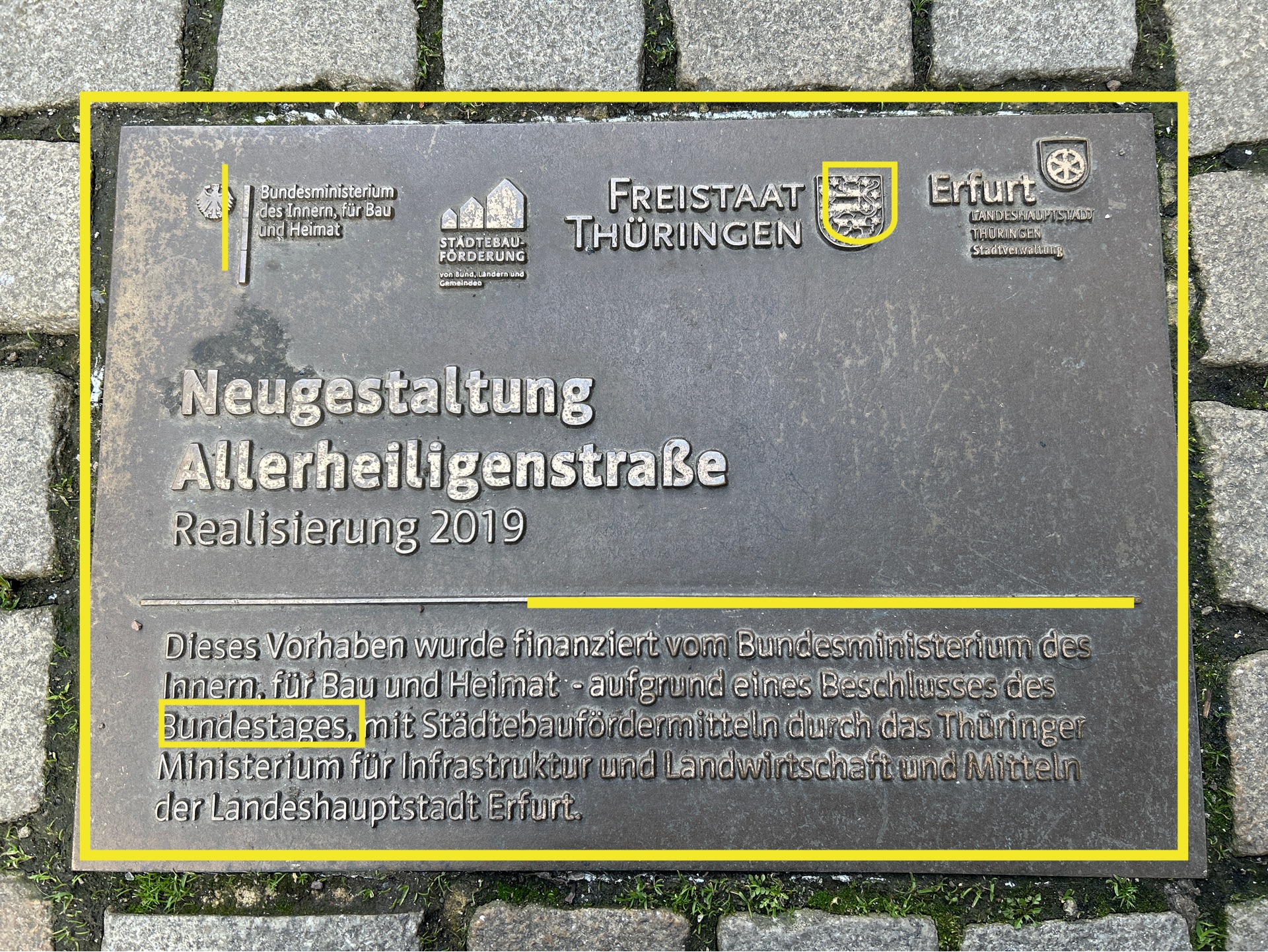 Rekordzeit: Dumm und Dümmer