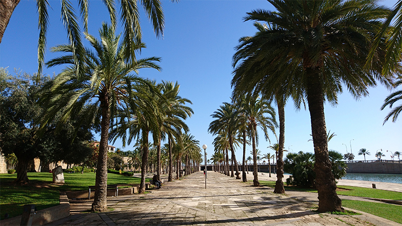 Escape tour in Palma de Mallorca